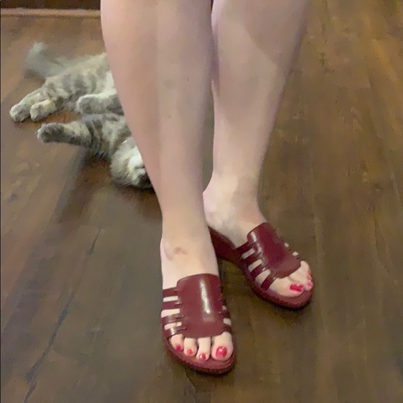 Meet your Posher, Mary - Picture 5 of 5